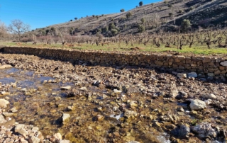 Recuperamos el antiguo muro de Carralapeña 1