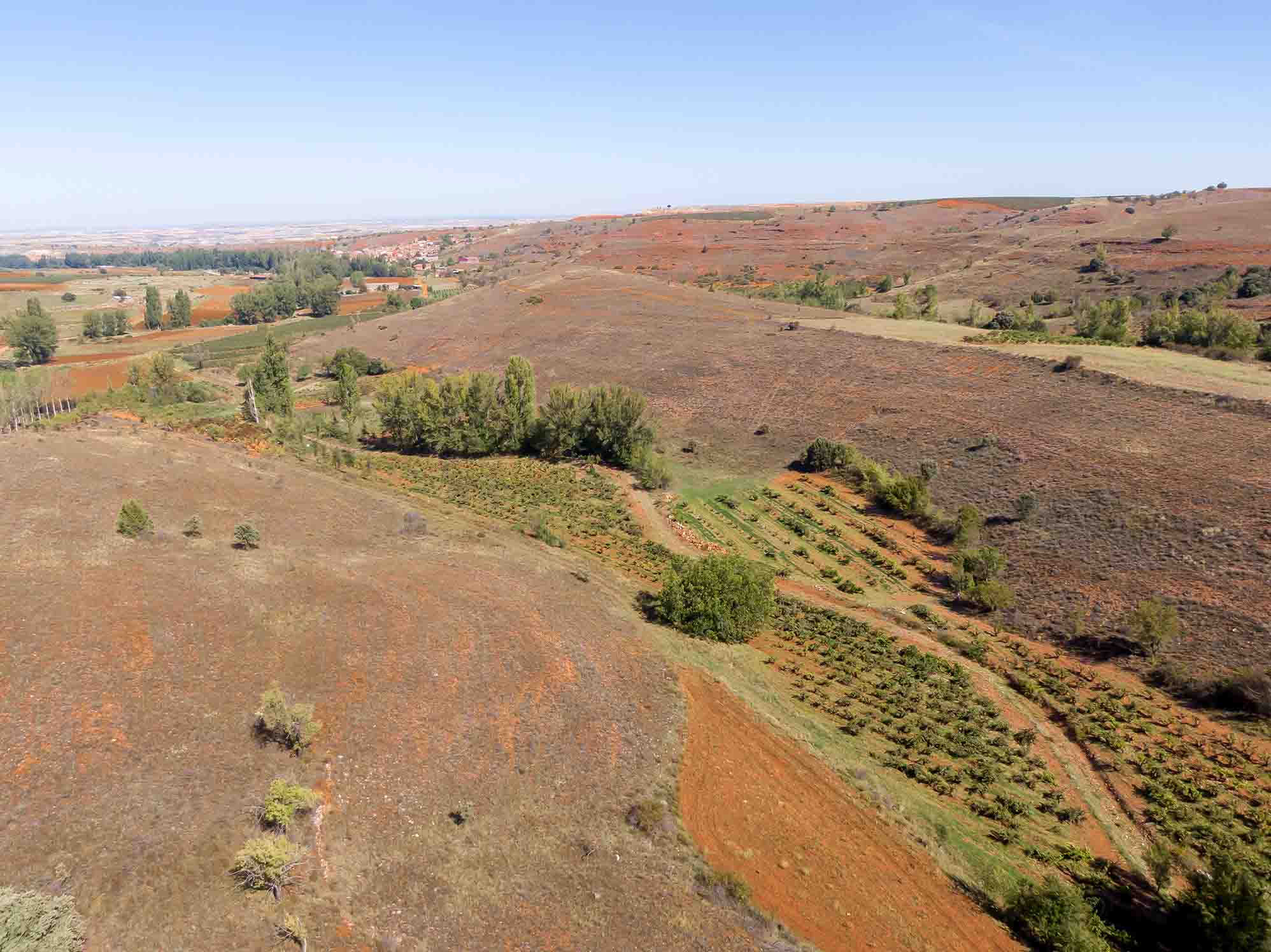 Biodiversidad microbiológica frente al cambio climático 5